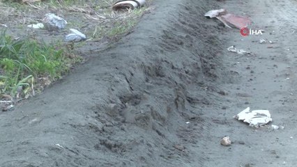 Deniz kumu sanıldı, kılcal damarlardan yüzeye çıkan sitrik kil olduğu anlaşıldı