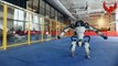 boston dynamics- dancing robots _advanced robotic technology#@