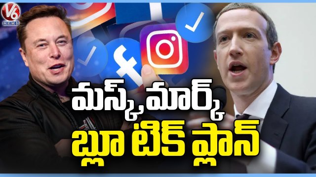 Elon Musk And Mark Zuckerberg Blue Tick Subscription Plan Creates Tension In Users | V6 News