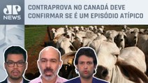 Brasil suspende exportações de carne bovina à China; Alan Ghani, Schelp e Kobayashi analisam