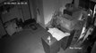Police issue CCTV of Doncaster burglary gang