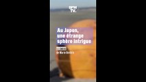 Au Japon, une étrange sphère échouée sur la plage intrigue