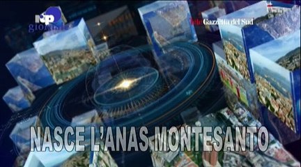 RTP Telegiornale 23 febbraio 2023