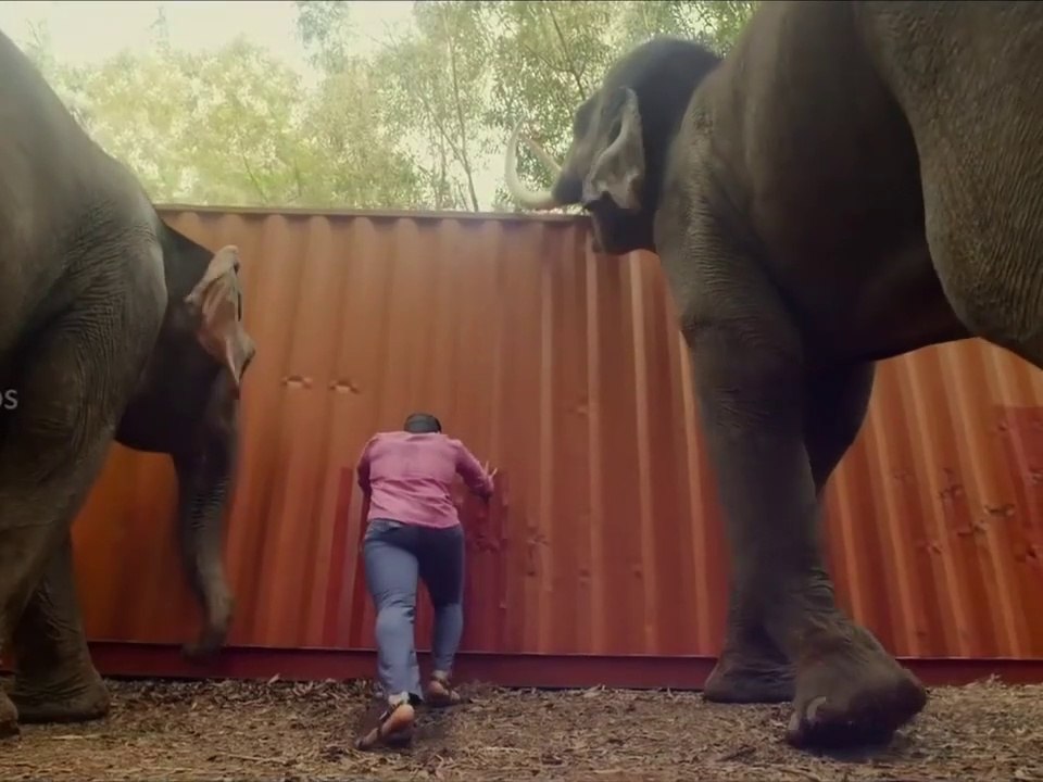 Bellamkonda srinivas kajal agarwal new South Movie Hindi bun/sita ram / full hindi movie bubble Movie HD 2023 Hindi New Movie