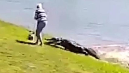 Köpeğiyle göl kenarında gezen kadına timsah saldırdı! Görevliler bedenini parçalanmış halde buldu