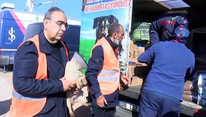 Enkazda patisini kaybeden köpeğe protez