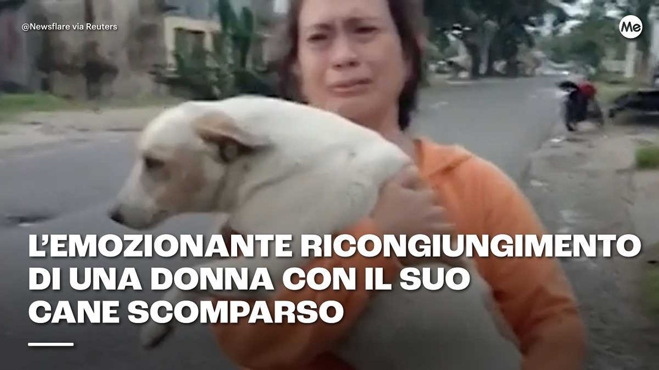 L'emozionante ricongiungimento di una donna con il suo cane scomparso