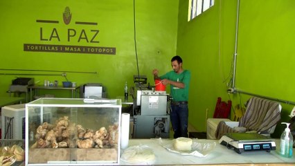 JZ AUMENTO PRECIO DE LA TORTILLA PKG 22FEB2023
