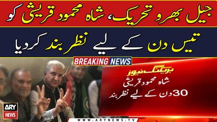 Jail Bharu Tehreek: Shah Mahmood Qureshi was detained for thirty days