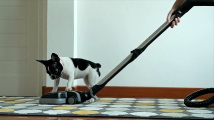 17 Things You Should Never Vacuum Up