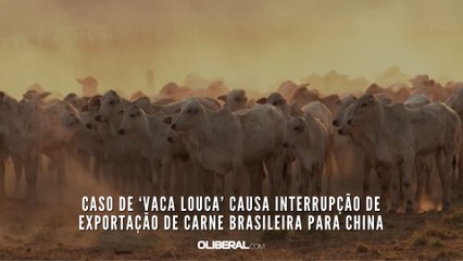 Caso de ‘vaca louca’ causa interrupção de exportação de carne brasileira para China