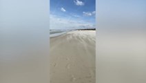 Wind whips up ‘sand blizzard’ on South Carolina shoreline