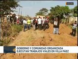 Gobierno regional y comunidad organizada realizan trabajos de vialidad en el estado Apure