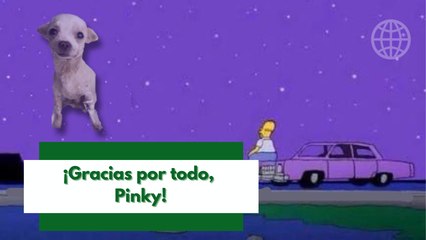 Cuerpo de Pinky no resistió y perdió la vida tras enfrentar a ladrón en Nayarit