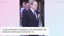 Harvey Weinstein : L'ex-producteur d'Hollywood condamné à 16 ans de prison pour viol