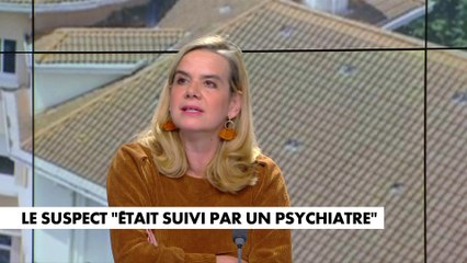 Gabrielle Cluzel : «Ce qui me dérange, c’est la psychiatrisation immédiate du cas»