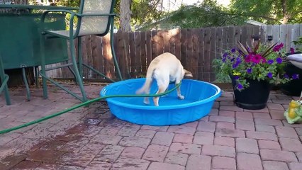 Maddie trying to fill up her pool