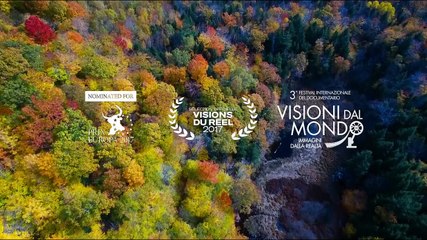 Il senso della bellezza - Arte e scienza al CERN | movie | 2017 | Official Trailer