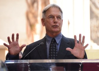 'NCIS': Is "Gibbs" Coming Back? Finally An Answer