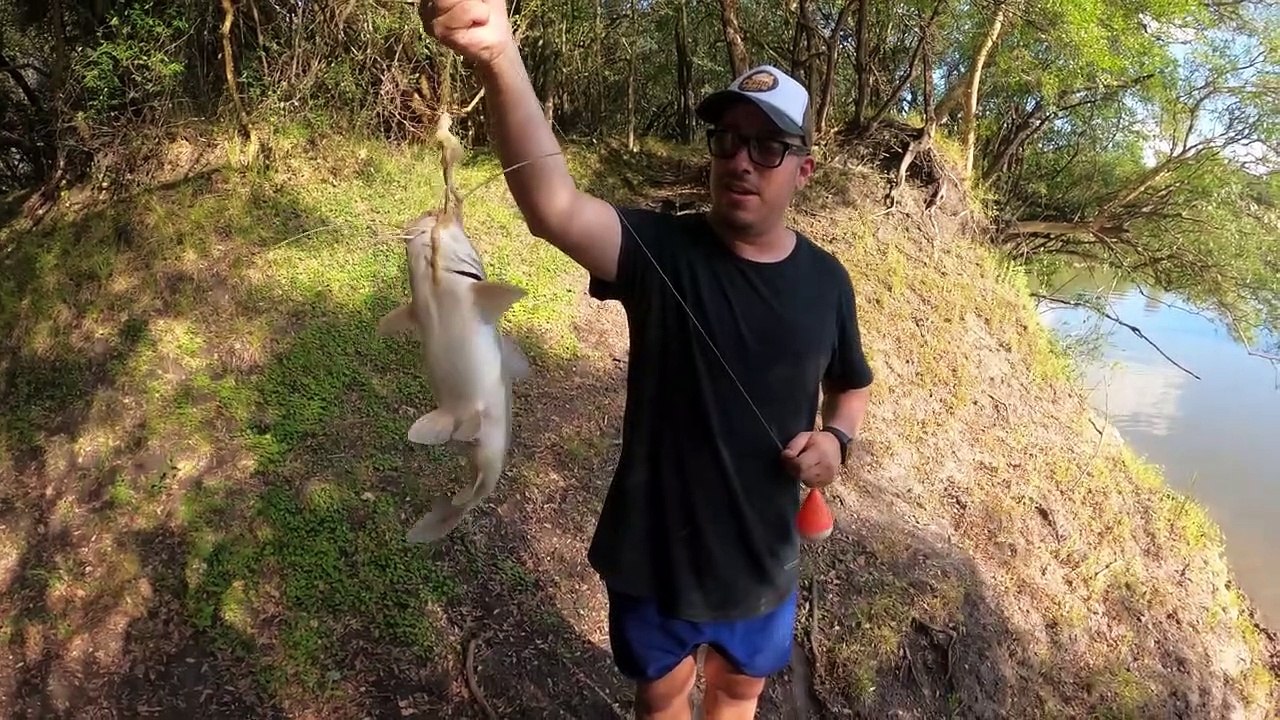 Increíble el PIQUE DE BAGRES en este Arroyo, Pesca, Cocina y Campamento !
