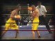 Fight zone combats kick boxing boxe thai