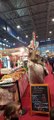 La Foire d'Automne Grenoble à Alpexpo   #France #foiredegrenoble #Alpexpo #foireexpo #foiredefrance  (48)