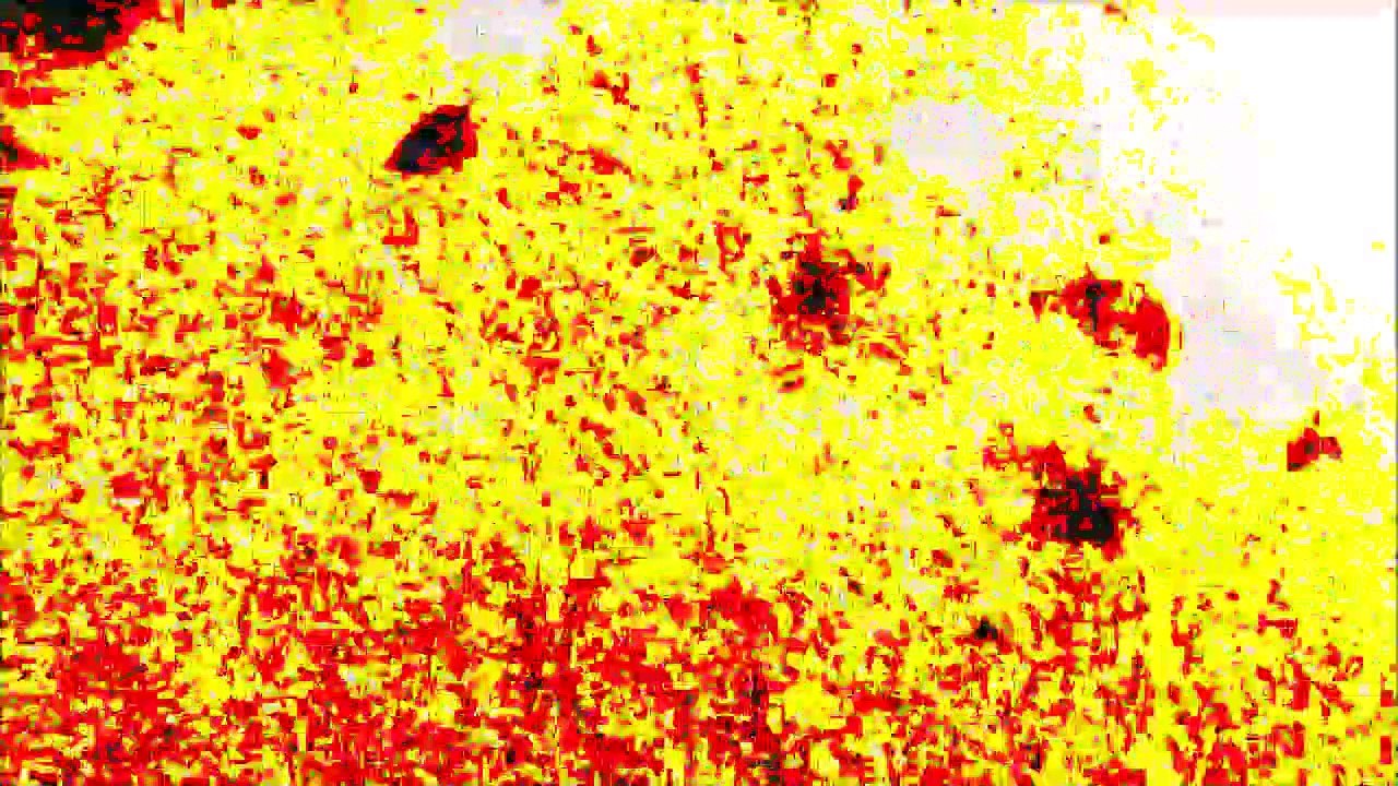 Will Hessey - 'Shut Down'