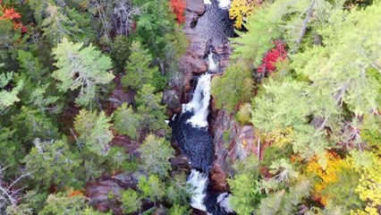Nature Reels Video Waterfalls