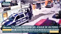 Policías HUYEN DESPAVORIDOS de un perro pitbull.. ¡Intentaban detener a unos asaltantes!