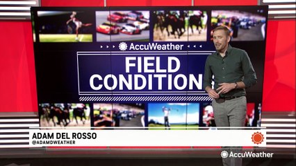 Your sports forecast around the world for the last weekend of February