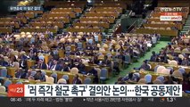 유엔 총회 '러 철군 결의안' 채택…中기권·北반대