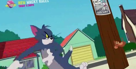 The Tom and Jerry Show S02 E006B