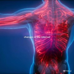 what-is-meant-by-homeostasis-and-what-are-the-positive-and-negative-effects-vundefined