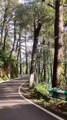 Thatharna trek Dharamshala | Dharamshala Guide