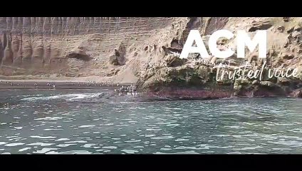 Antarctica trip - February 24, 2023 - The Standard