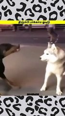 Run without looking back