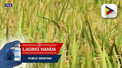 PBBM, target ang digital registry sa agriculture sector
