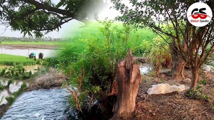 Interesting Facts About Pakistan In Urdu