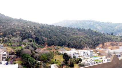 Bodrum Geriş’te özelleştirilerek satılan arsaya büyük tepki