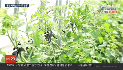 "꿀벌 지키고 수확도 늘려"…'스마트 벌통'