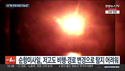 북한 "순항미사일 4발 발사"…군 "진위 파악 중"