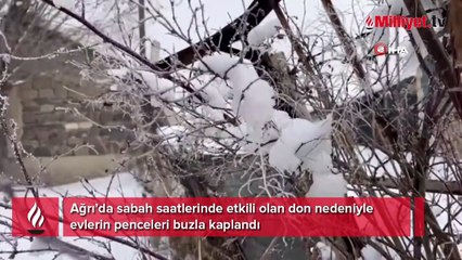 Ağrı dondu, camlar buz tuttu