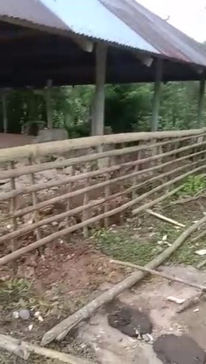 Pembuatan Pagar Kuburan Di Penu Mareda, Sumba-NTT
