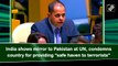 India shows mirror to Pakistan at UN, condemns country for providing 'safe haven to terrorists'