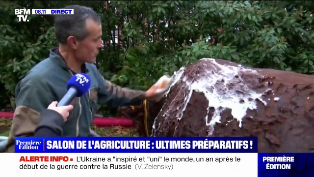 Salon de l'agriculture: comment les vaches sont nettoyées chaque matin avant l'accueil du public