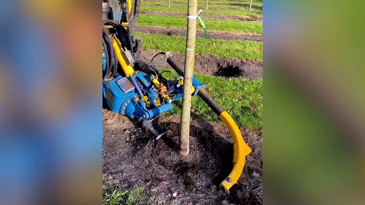 Oddly Satisfying Video With Relaxing Calm Deep Sleep Music for Stress Relief Meditation Ep3