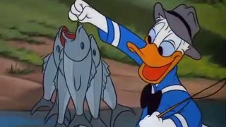 Donlad duck cartoon sky world [Hook lion and sinke 1951