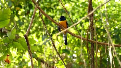 Beautiful Piano Music - Soothing Piano Music For Stress Relief, Calming, Peaceful Relaxation - 720