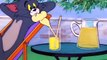 Tom and Jerry - Volume 5 - Ep17 - Blue Cat Blues HD Watch