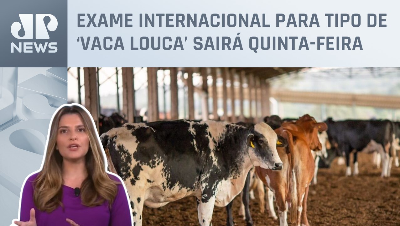 Kellen Severo: Exportações de carne bovina para China estão suspensas